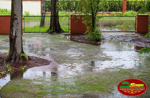 Yard Flooding Solutions