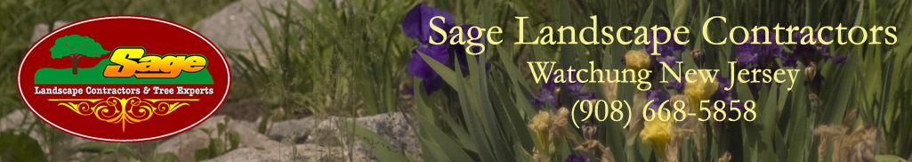 Sage Landscape Contractors