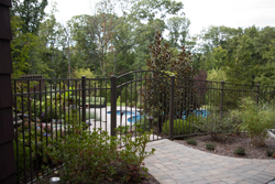 pool fence and gates