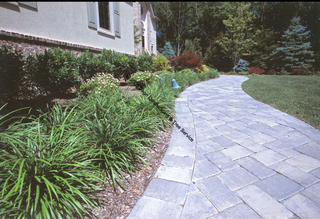 foundation landscape plantings for your home
