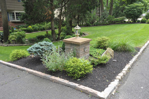 Landscaping for Curb appeal