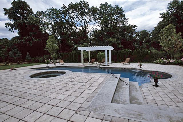 swimming pool with patio and pergola
