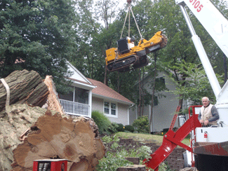 Stump Grinding and Tree Removal Services