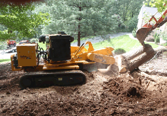 tree stump grinding and removal