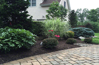 Click link below for Shrubbery and Plantings